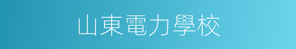 山東電力學校的同義詞