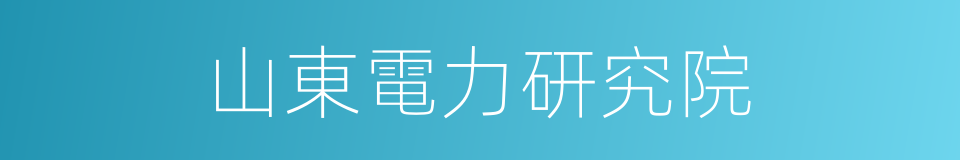 山東電力研究院的同義詞