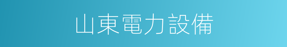 山東電力設備的同義詞