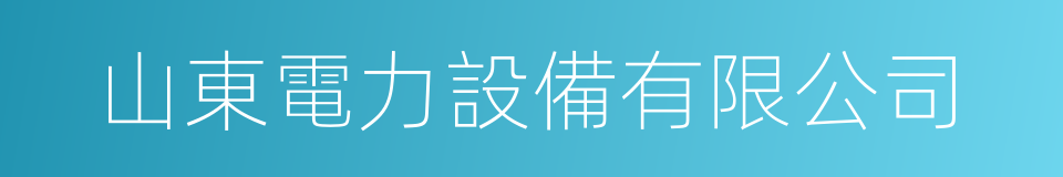 山東電力設備有限公司的同義詞
