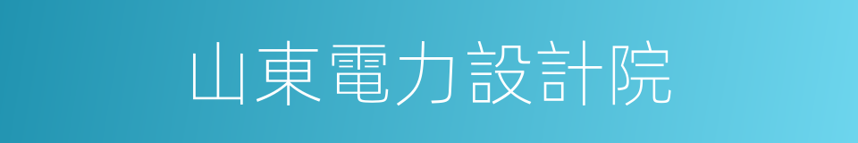 山東電力設計院的同義詞