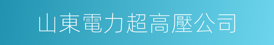 山東電力超高壓公司的同義詞