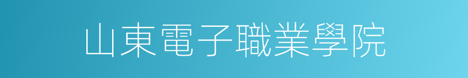 山東電子職業學院的同義詞