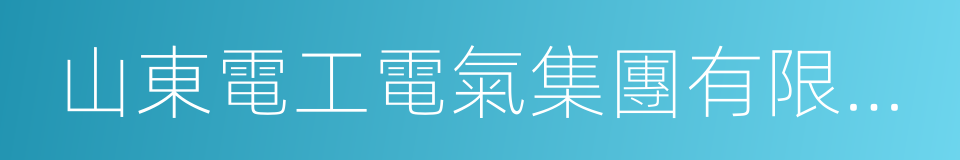 山東電工電氣集團有限公司的同義詞