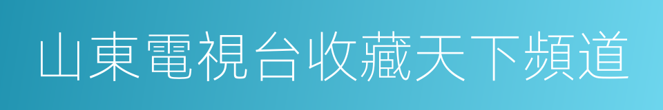 山東電視台收藏天下頻道的同義詞