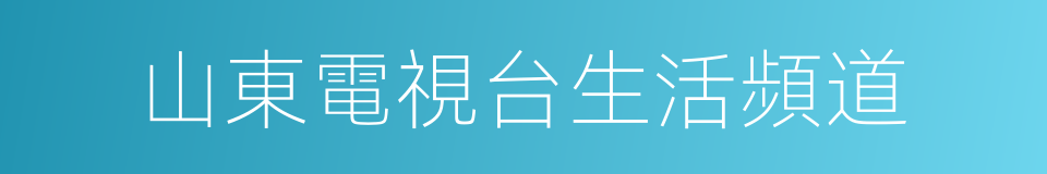 山東電視台生活頻道的同義詞