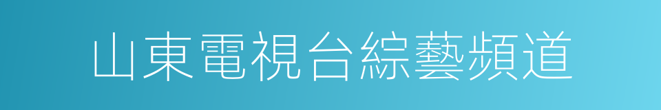 山東電視台綜藝頻道的同義詞