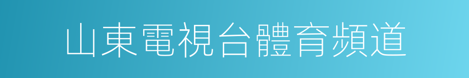 山東電視台體育頻道的同義詞