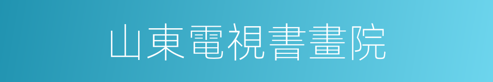 山東電視書畫院的同義詞