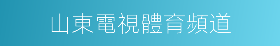 山東電視體育頻道的同義詞