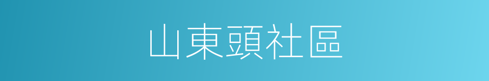 山東頭社區的同義詞