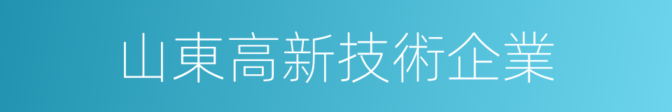 山東高新技術企業的同義詞