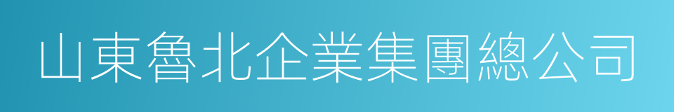 山東魯北企業集團總公司的同義詞