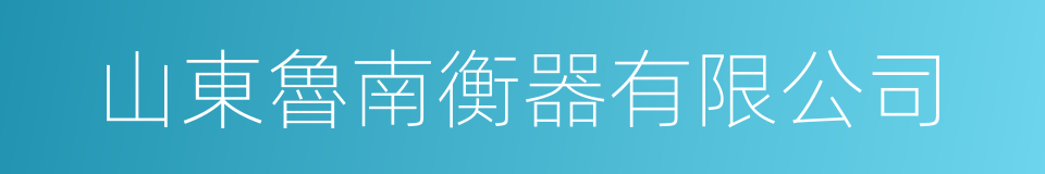 山東魯南衡器有限公司的同義詞