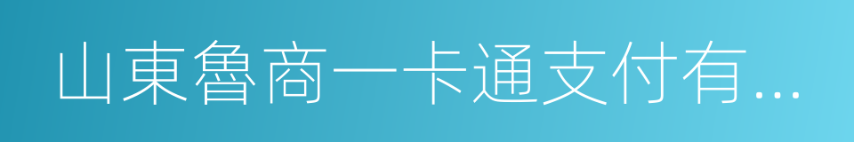 山東魯商一卡通支付有限公司的同義詞