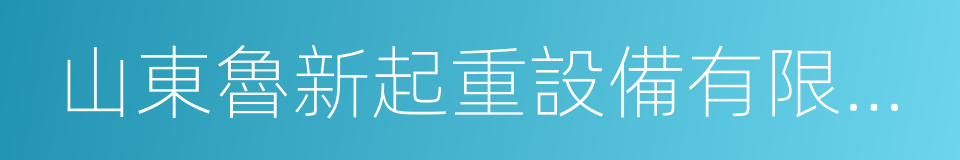 山東魯新起重設備有限公司的同義詞