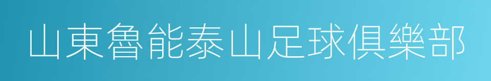 山東魯能泰山足球俱樂部的同義詞