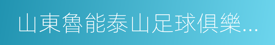 山東魯能泰山足球俱樂部股份有限公司的同義詞