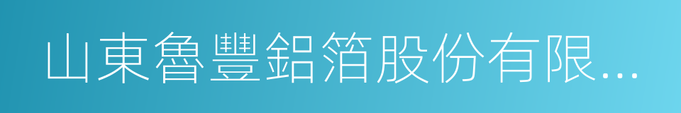 山東魯豐鋁箔股份有限公司的同義詞