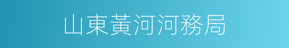 山東黃河河務局的同義詞