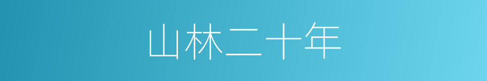 山林二十年的同义词