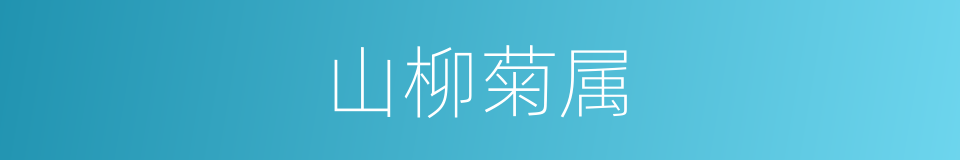 山柳菊属的同义词