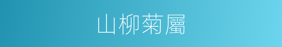 山柳菊屬的同義詞