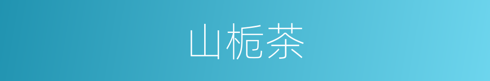 山栀茶的同义词