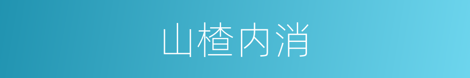 山楂内消的同义词