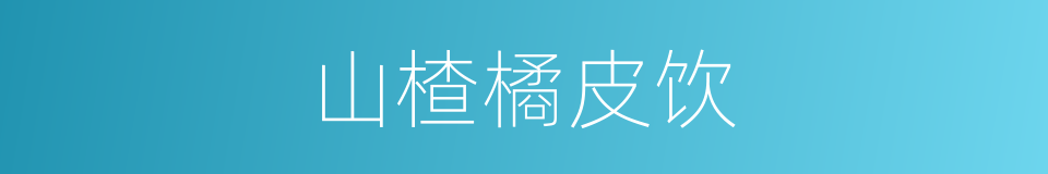 山楂橘皮饮的同义词