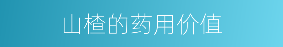 山楂的药用价值的同义词