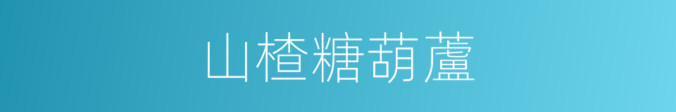 山楂糖葫蘆的同義詞