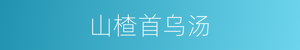 山楂首乌汤的同义词