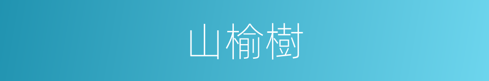 山榆樹的同義詞