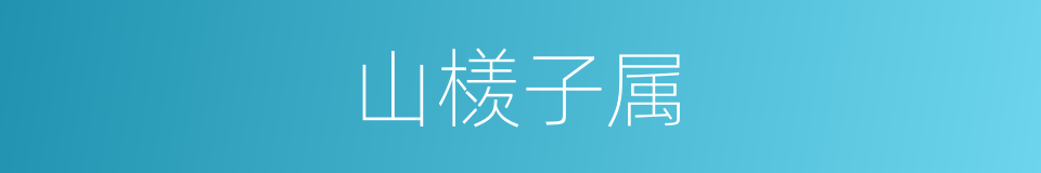 山檨子属的同义词