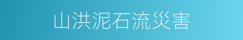 山洪泥石流災害的同義詞