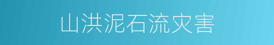 山洪泥石流灾害的同义词