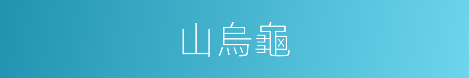 山烏龜的同義詞