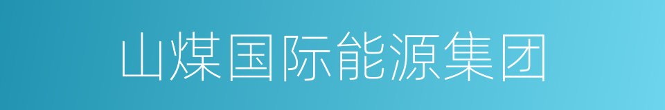 山煤国际能源集团的同义词