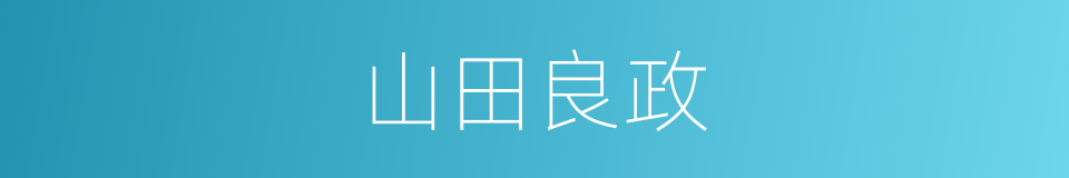 山田良政的同义词