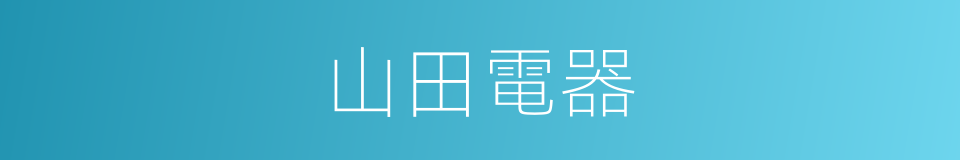 山田電器的同義詞