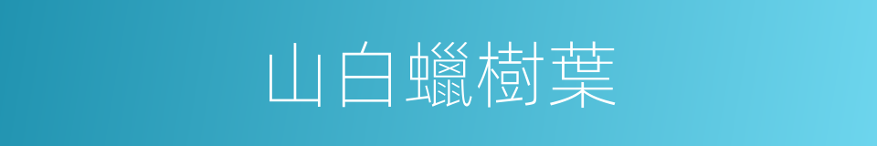山白蠟樹葉的同義詞