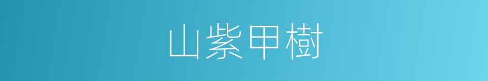 山紫甲樹的同義詞
