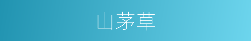 山茅草的同义词