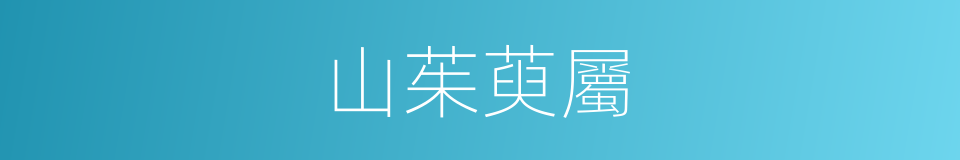 山茱萸屬的同義詞