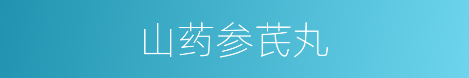 山药参芪丸的同义词