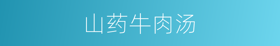 山药牛肉汤的同义词