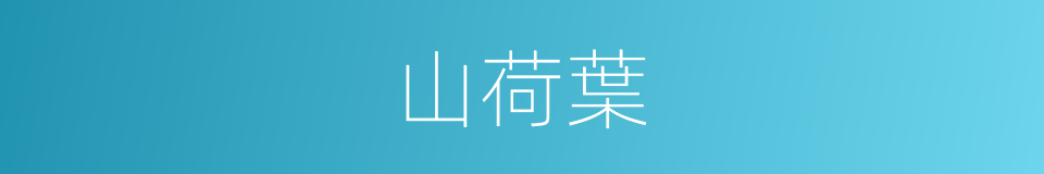 山荷葉的同義詞