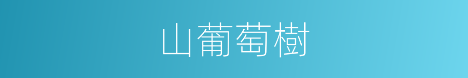 山葡萄樹的同義詞