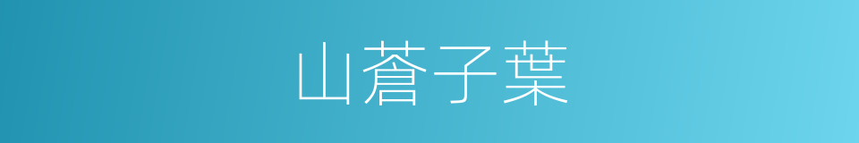 山蒼子葉的同義詞